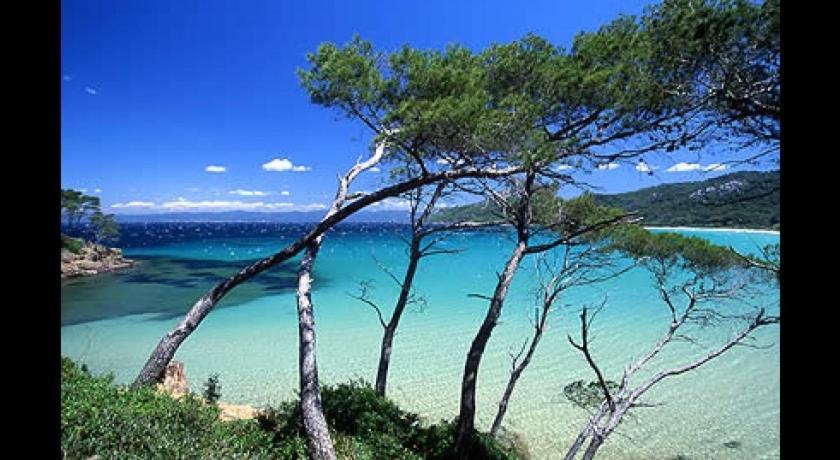 Petit Coin De Paradis Les Pieds Dans L'Eau La Londe-les-Maures Exterior foto